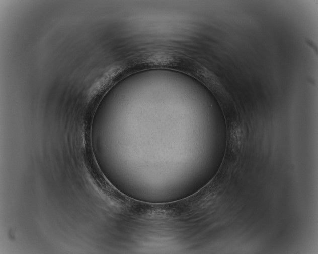 X0000101110734200807031739