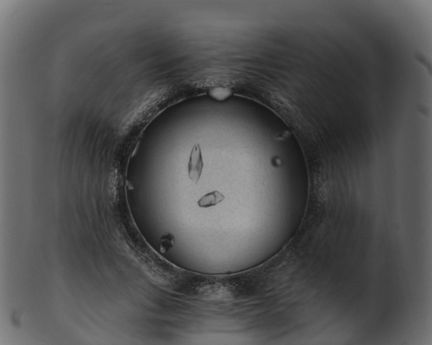 X0000101110735200807031739