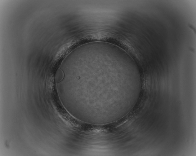 X0000101110736200807031739