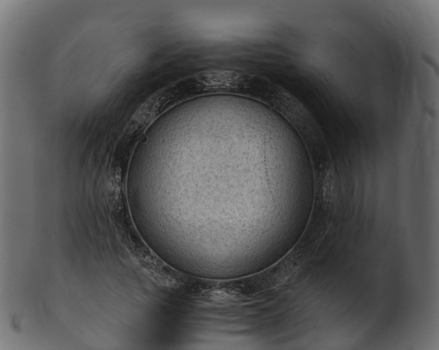 X0000101110737200807031739
