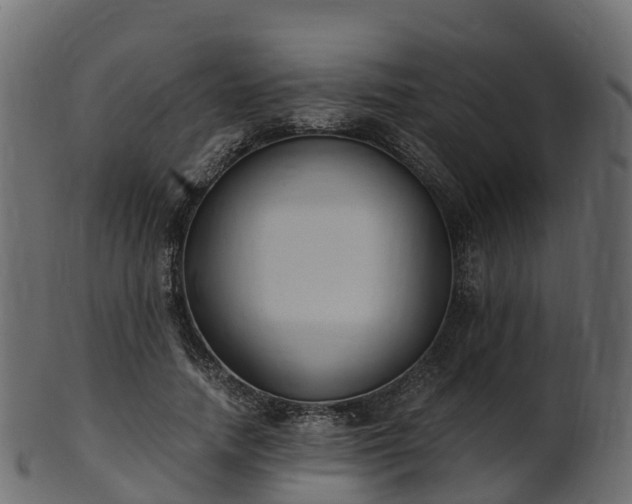 X0000101110738200807031739
