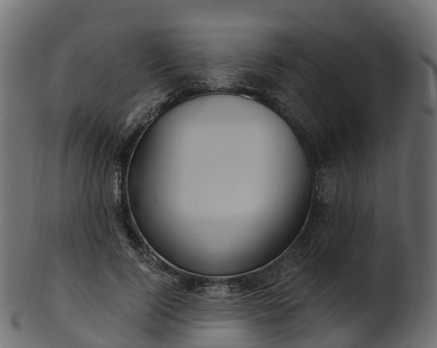 X0000101110740200807031739