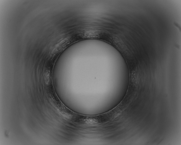 X0000101110741200807031739