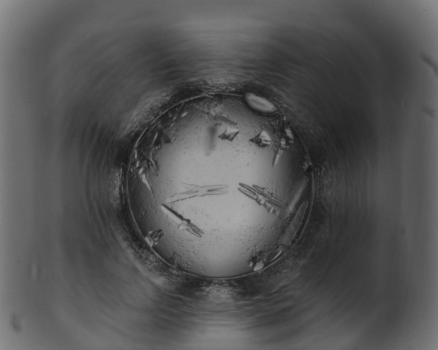 X0000101110742200807031739