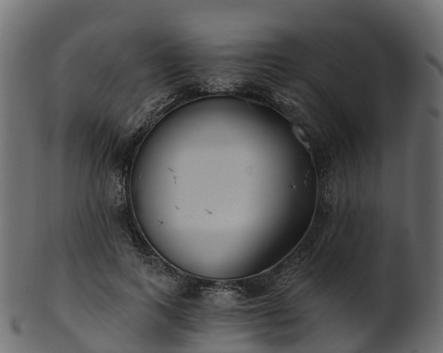 X0000101110743200807031739