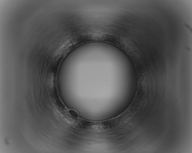 X0000101110744200807031739