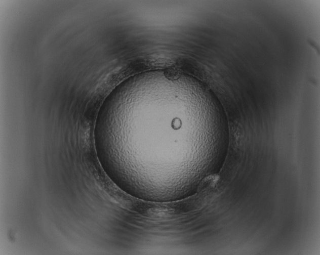 X0000101110745200807031739