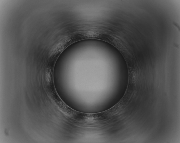X0000101110746200807031739
