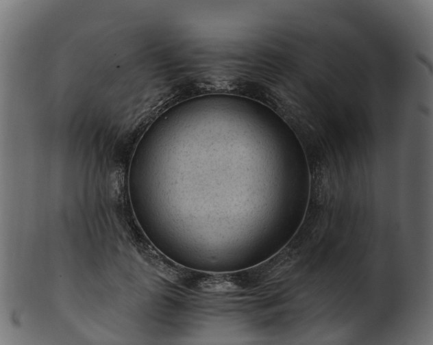 X0000101110747200807031739