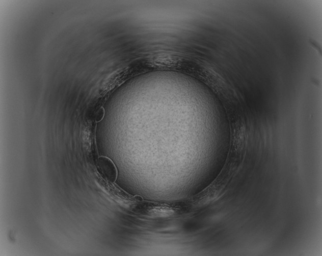 X0000101110749200807031739