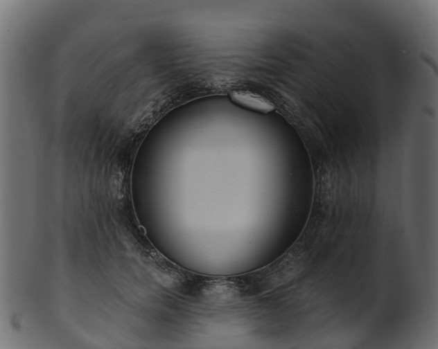 X0000101110750200807031739