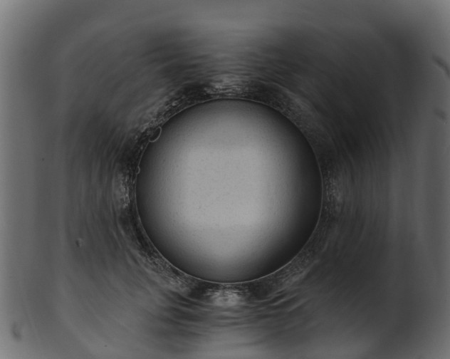 X0000101110751200807031739