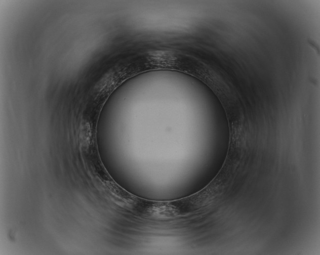 X0000101110752200807031739