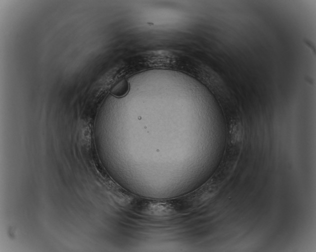 X0000101110753200807031739