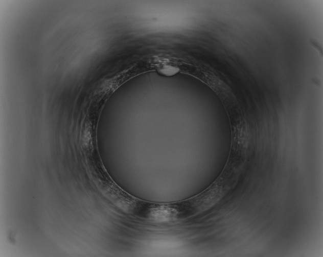 X0000101110754200807031739