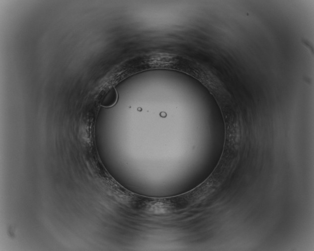 X0000101110755200807031739