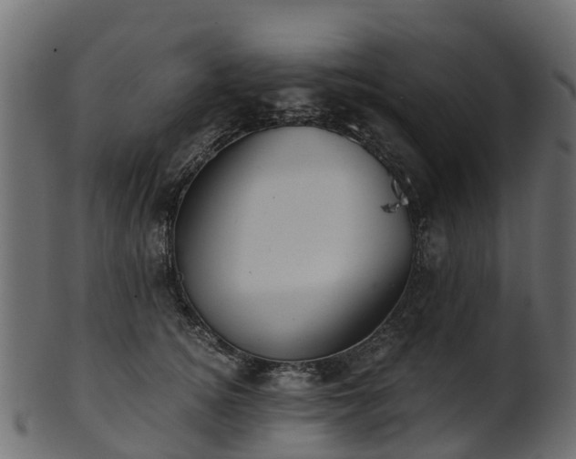 X0000101110756200807031739