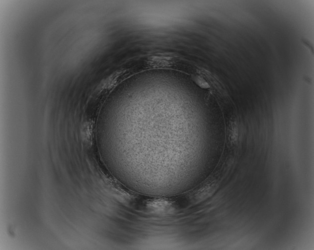 X0000101110759200807031739