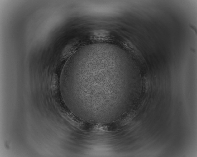 X0000101110760200807031739