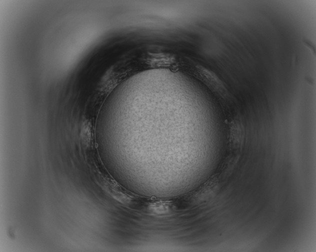 X0000101110761200807031739