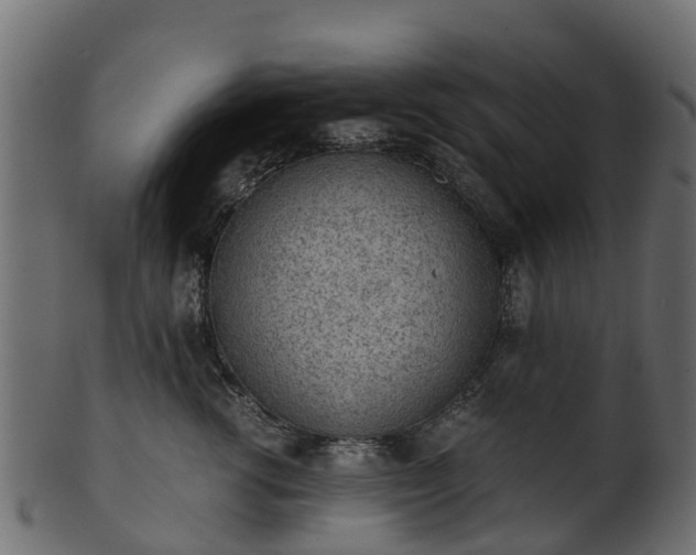 X0000101110762200807031739