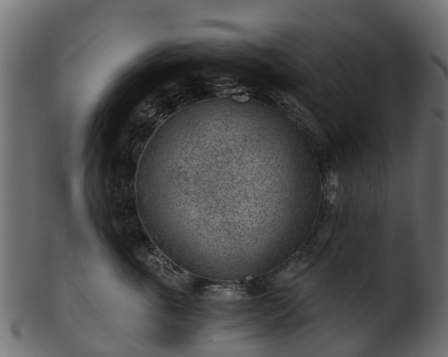 X0000101110763200807031739