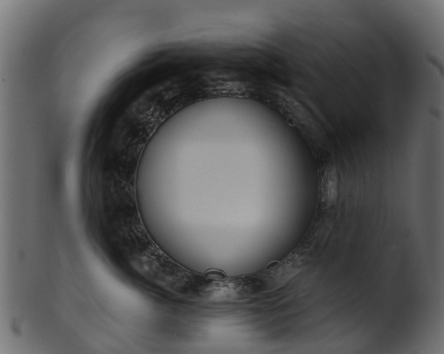 X0000101110764200807031739