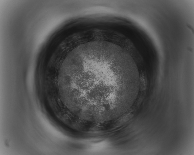 X0000101110765200807031739
