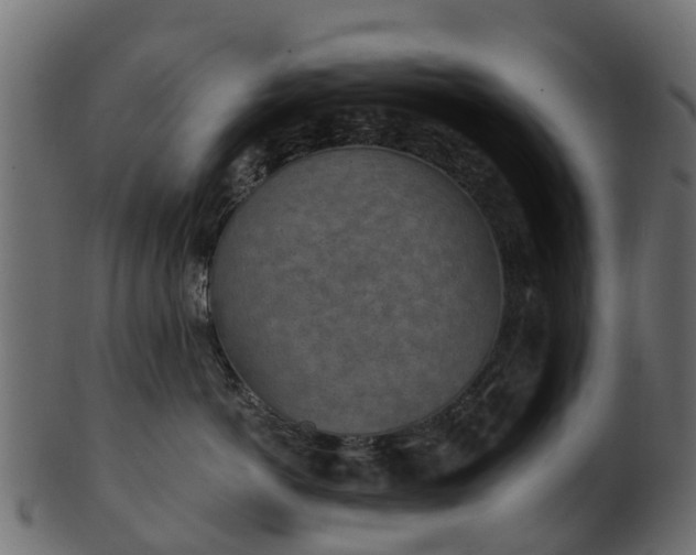 X0000101110766200807031739