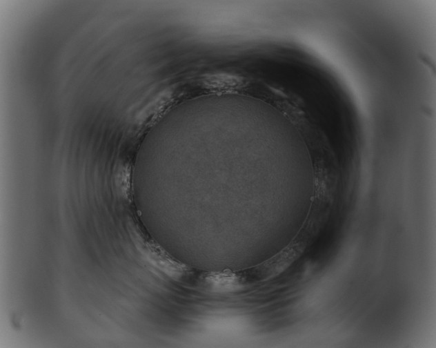 X0000101110767200807031739
