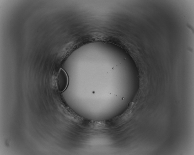 X0000101110768200807031739