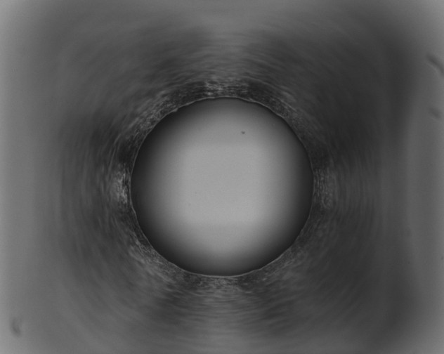 X0000101110770200807031739