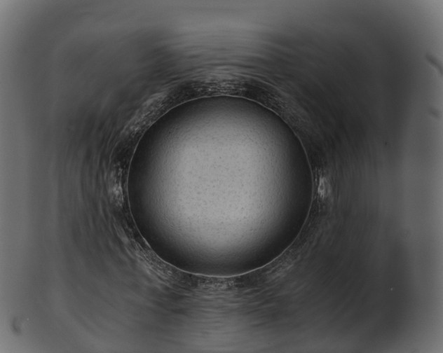 X0000101110771200807031739