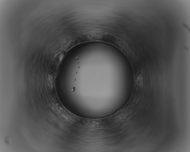 X0000101110772200807031739