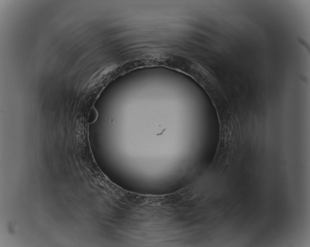 X0000101110773200807031739