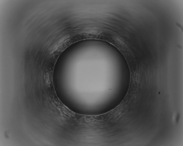 X0000101110774200807031739
