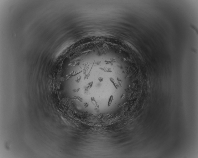 X0000101110775200807031739