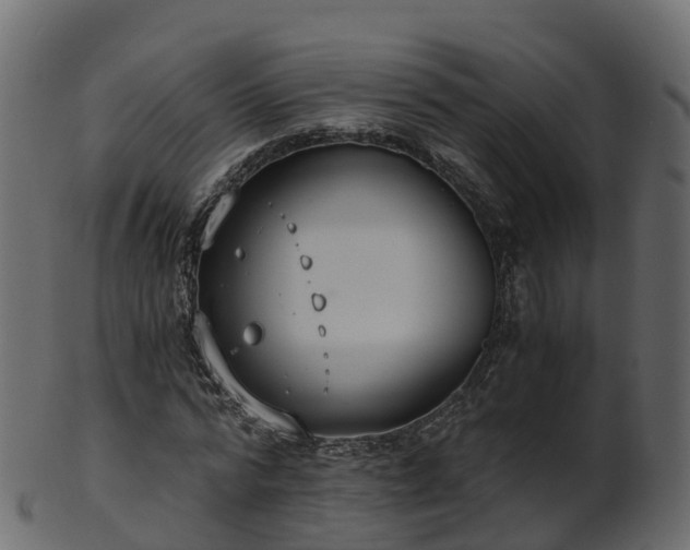X0000101110776200807031738