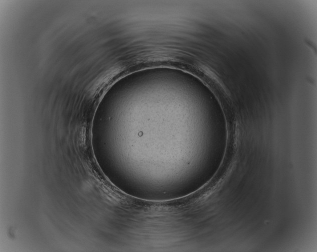 X0000101110777200807031738