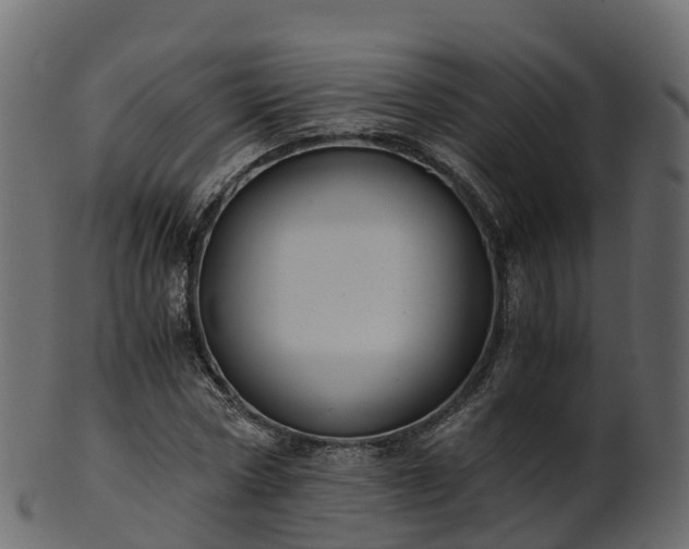 X0000101110778200807031738