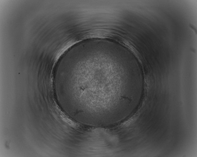 X0000101110779200807031738