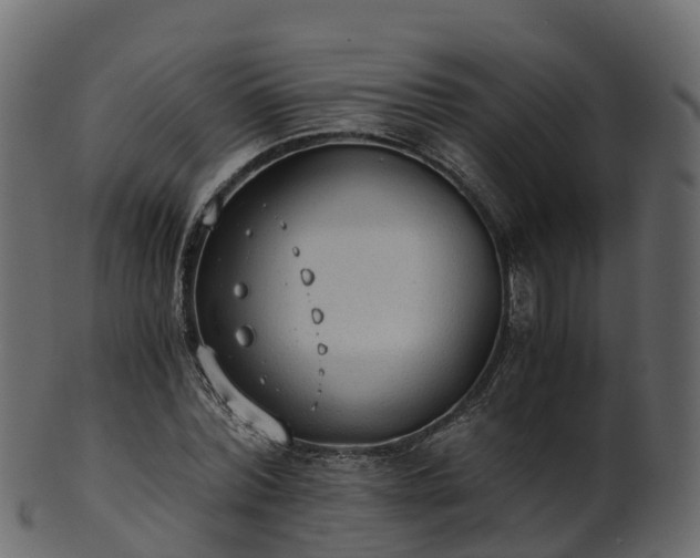 X0000101110780200807031738