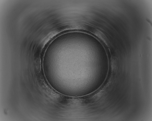 X0000101110781200807031738