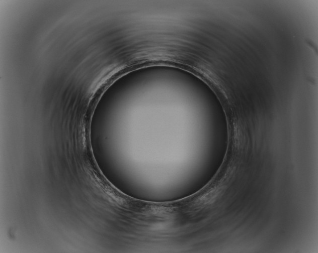 X0000101110782200807031738