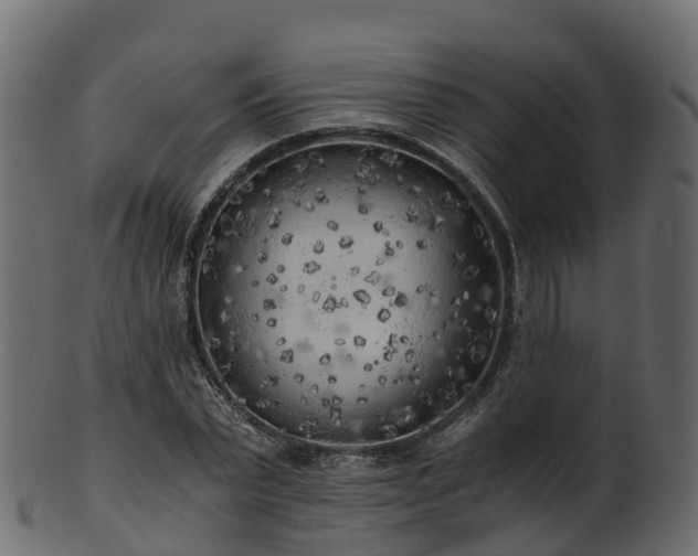 X0000101110783200807031738