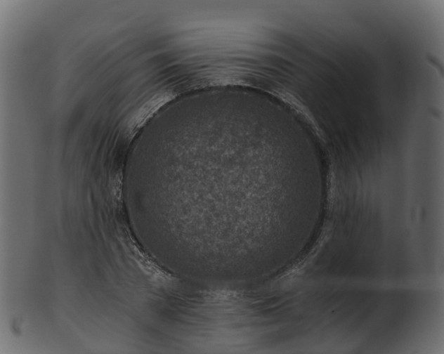 X0000101110785200807031738
