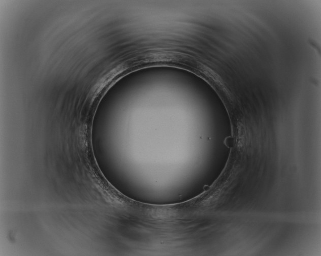 X0000101110786200807031738
