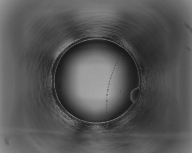 X0000101110787200807031738