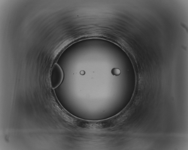 X0000101110789200807031738