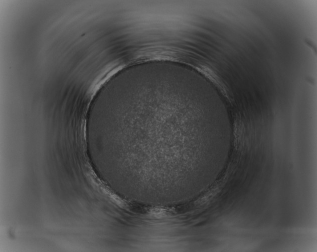 X0000101110790200807031738